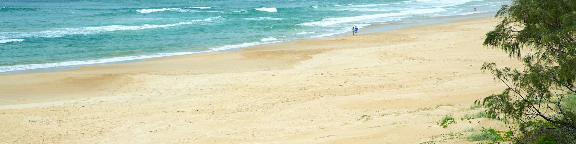 Pippi Beach showing a beach