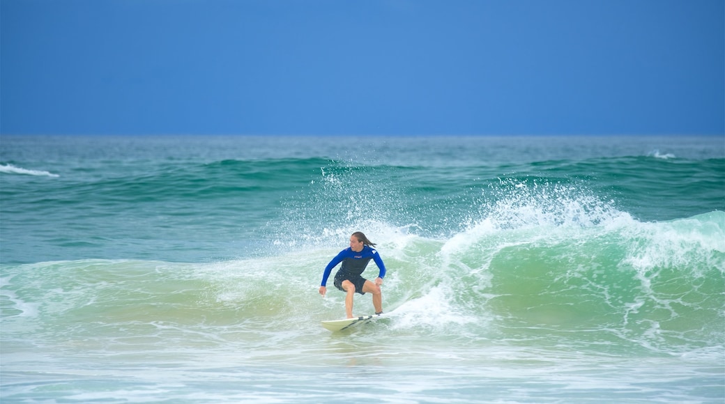 Pippi Beach showing surfing and a beach as well as an individual female