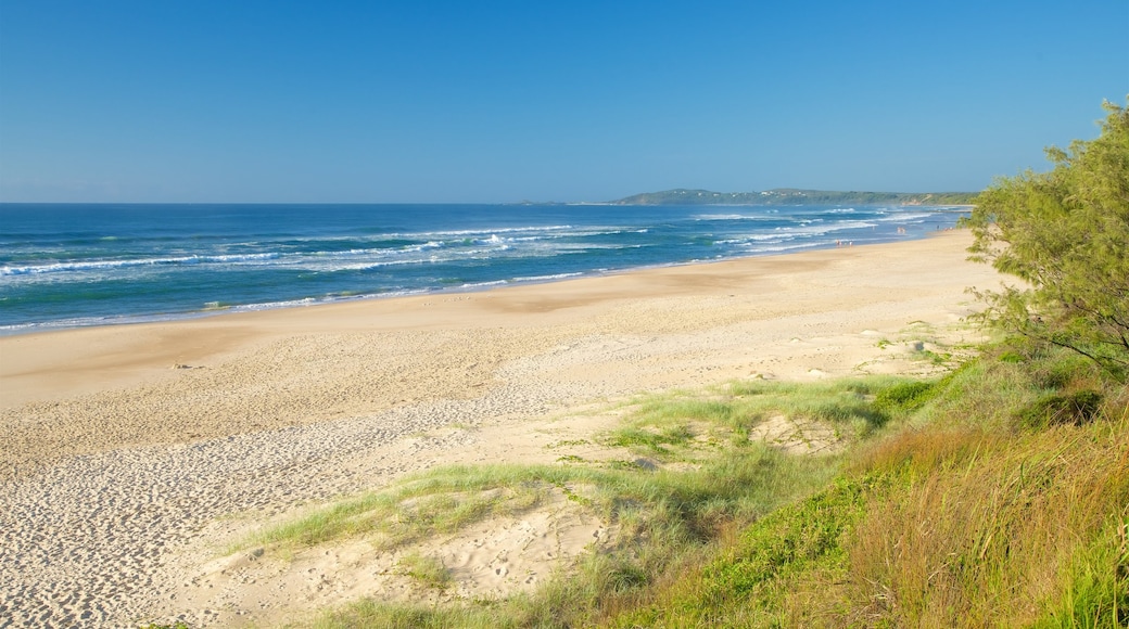 Pippi Beach showing a beach