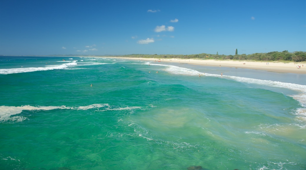 Brunswick Heads showing a sandy beach