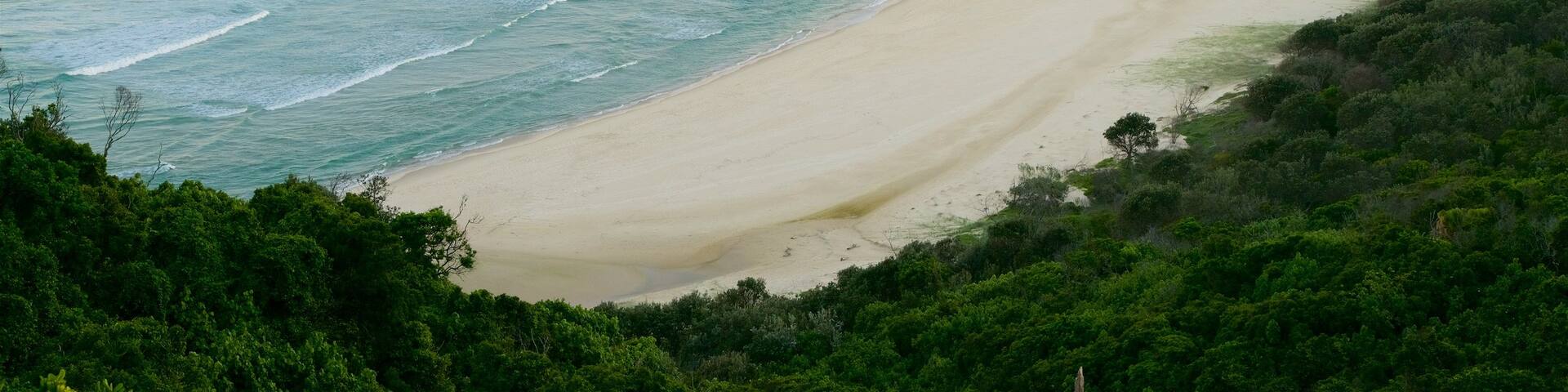 Arakwal National Park showing a beach