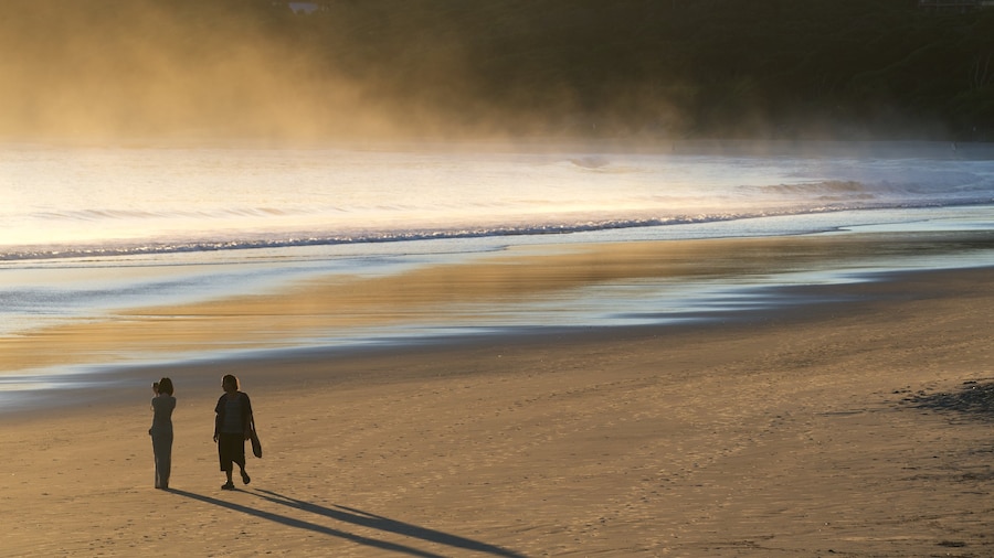 Main Beach som viser tåge eller dis og en strand såvel som et par