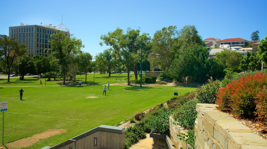 Newcastle featuring a garden