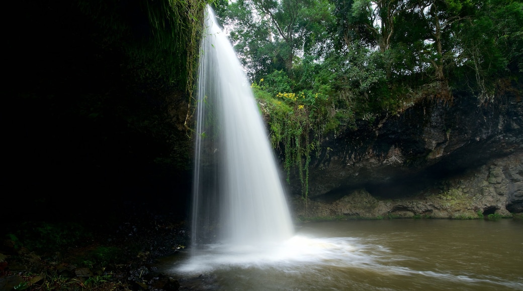 Byron Bay featuring a waterfall