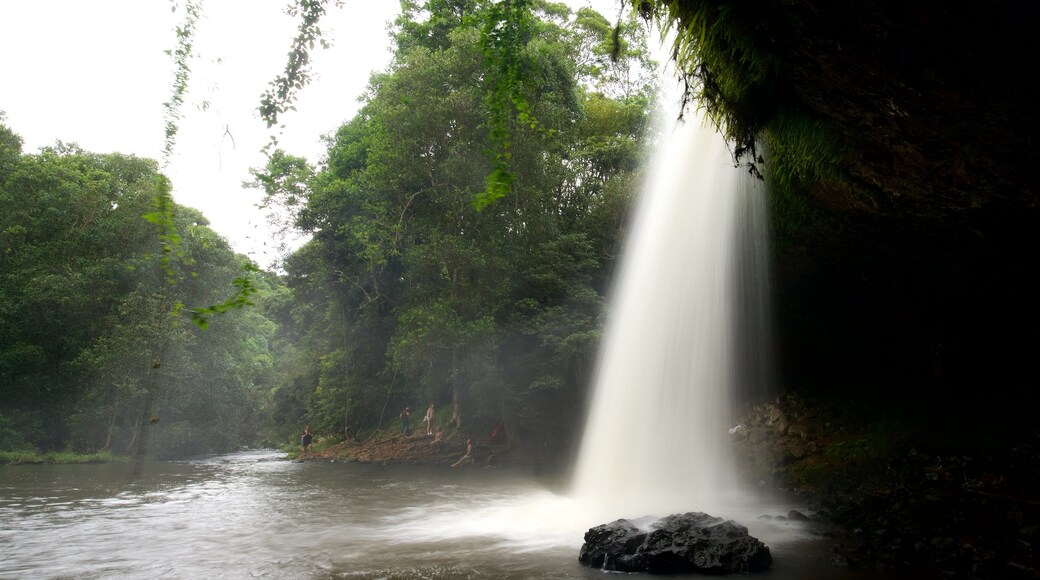 Byron Bay showing a cascade