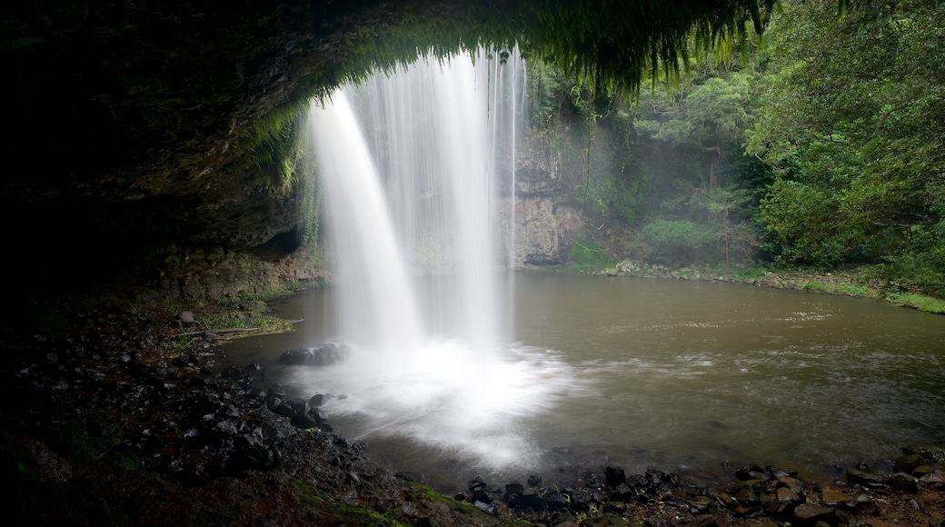 Killen Falls featuring a cascade and a lake or waterhole