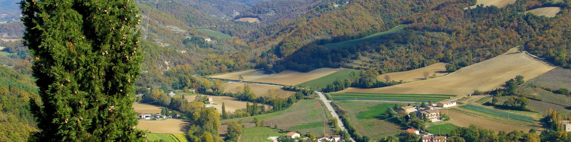Montone showing tranquil scenes