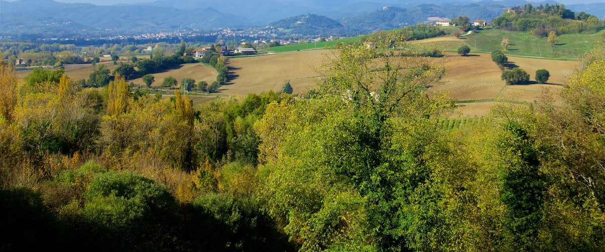 Montone showing tranquil scenes