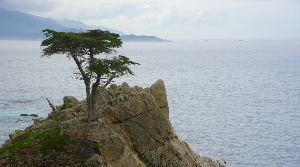 Central California showing general coastal views and rocky coastline