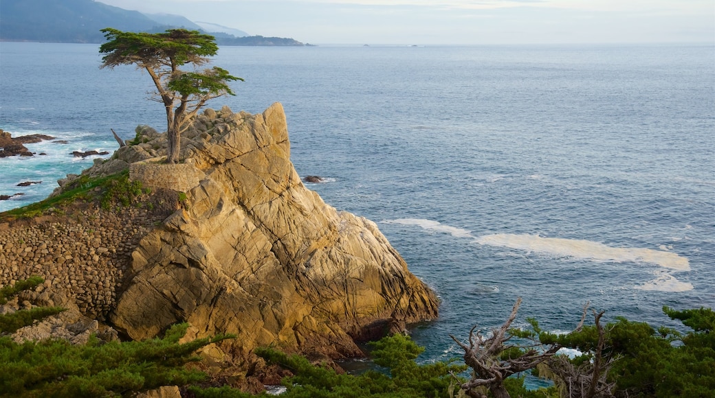 17-Mile Drive showing rugged coastline