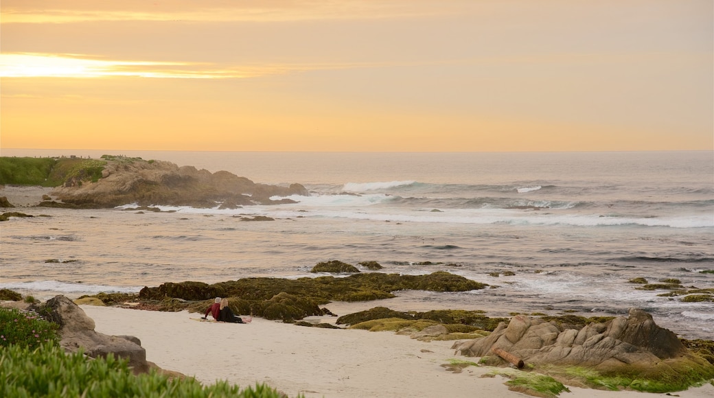 17-Mile Drive which includes rugged coastline