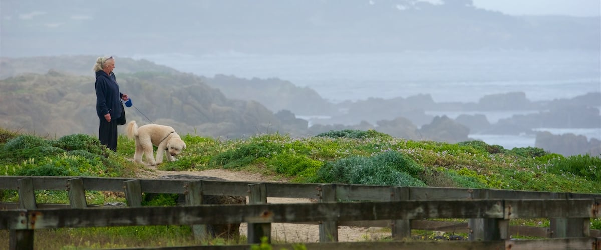 17-Mile Drive