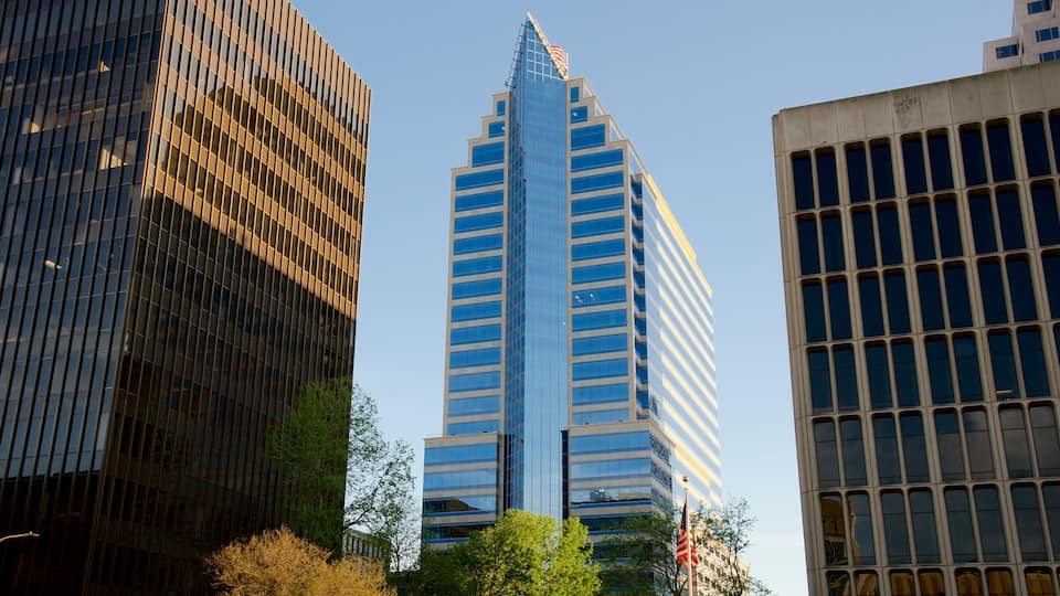 Bay Area que incluye zona de negocios