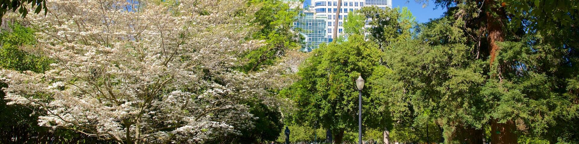Sacramento Capitol Park showing a garden