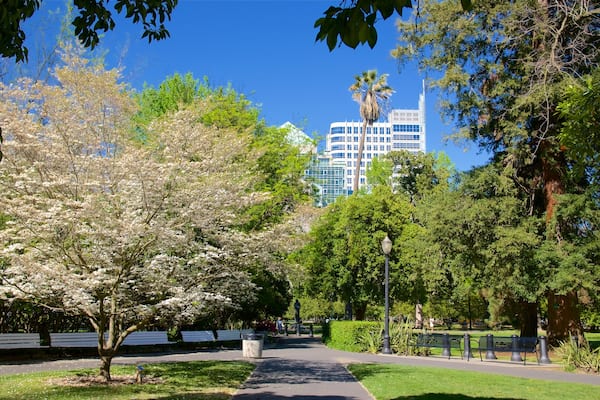 Sacramento Capitol Park qui includes parc