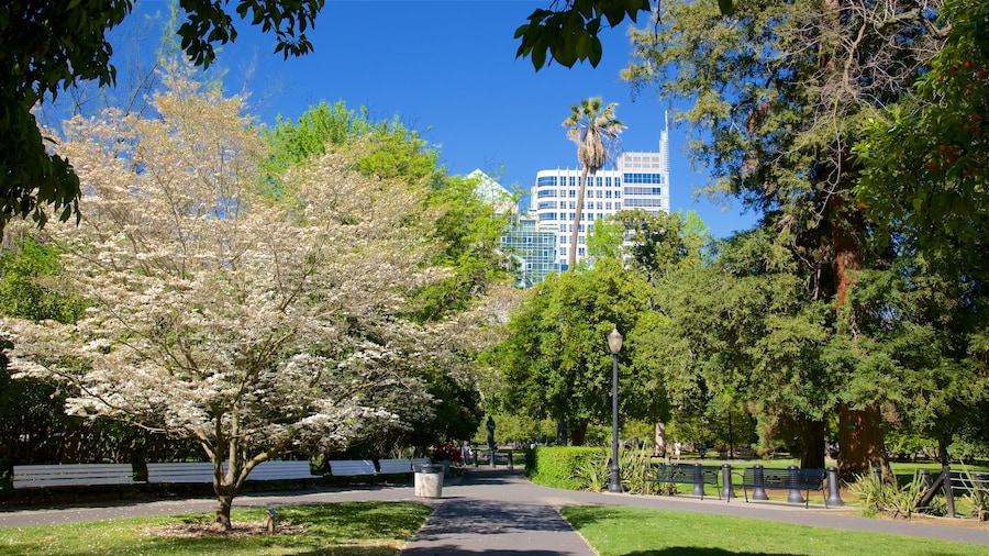Sacramento Capitol Park showing a park
