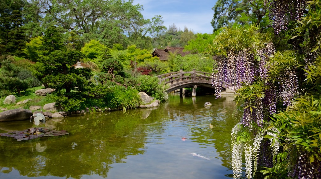 Hakone Gardens mit einem Garten