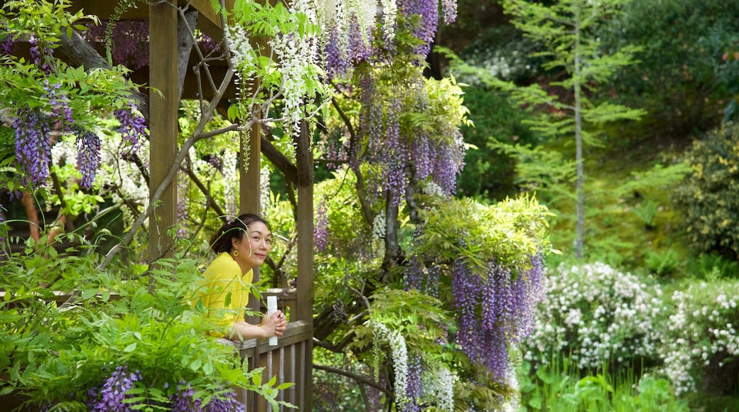 Saratoga das einen Garten sowie einzelne Frau