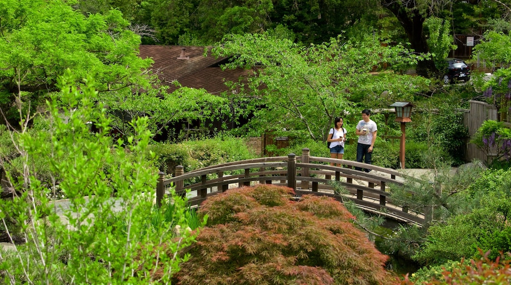 Hakone Gardens showing a garden as well as a couple