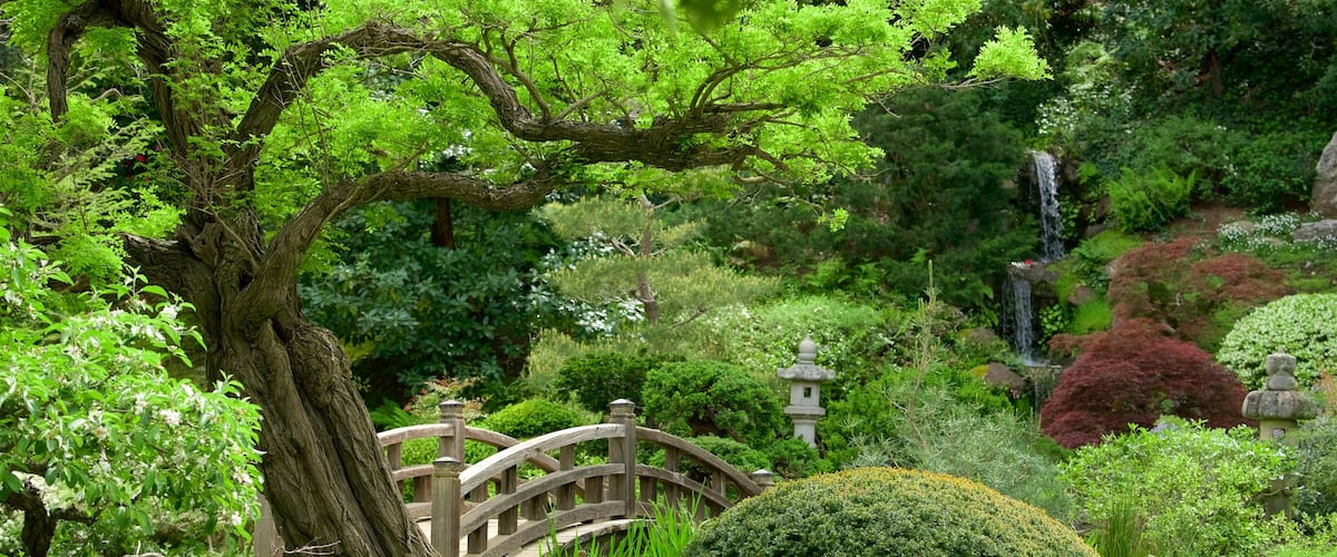 籍根花园
