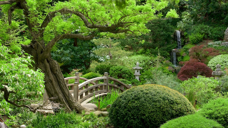 Hakone Gardens qui includes jardin