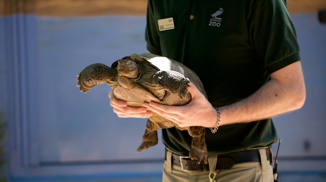 Sacramento Zoo que incluye vida marina