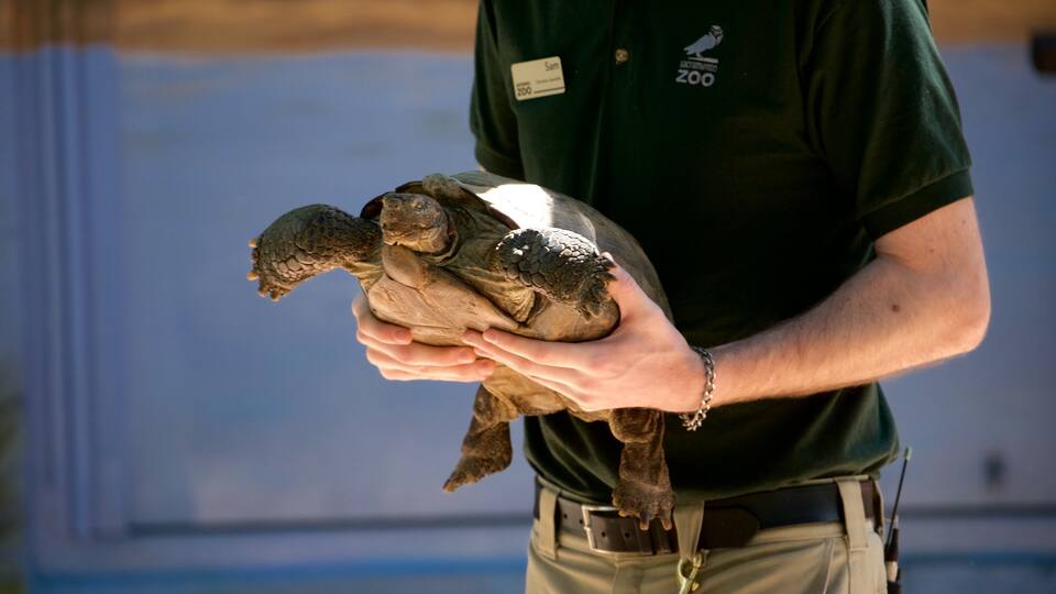 Sacramento Zoo which includes marine life