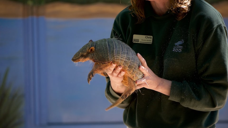 Sacramento Zoo featuring animals