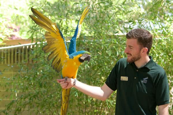 Sacramento Zoo showing bird life
