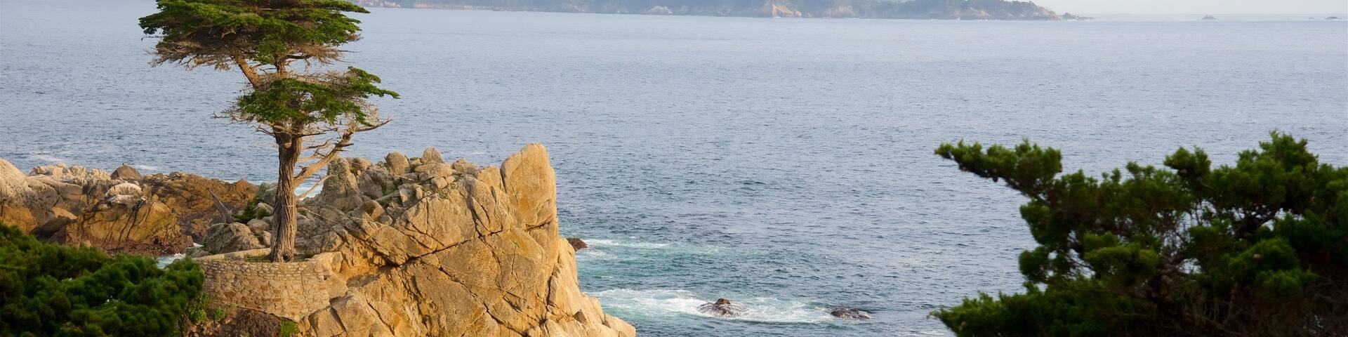 17-Mile Drive which includes views