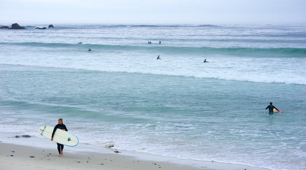 Central Coast California featuring surfing, a sandy beach and general coastal views