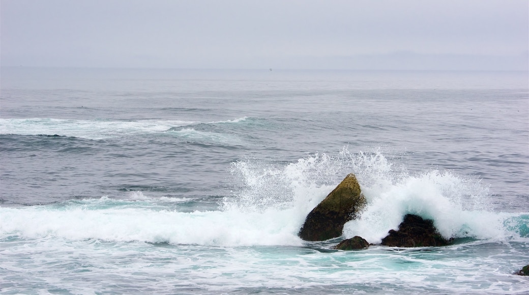 17-Mile Drive che include costa frastagliata e surf