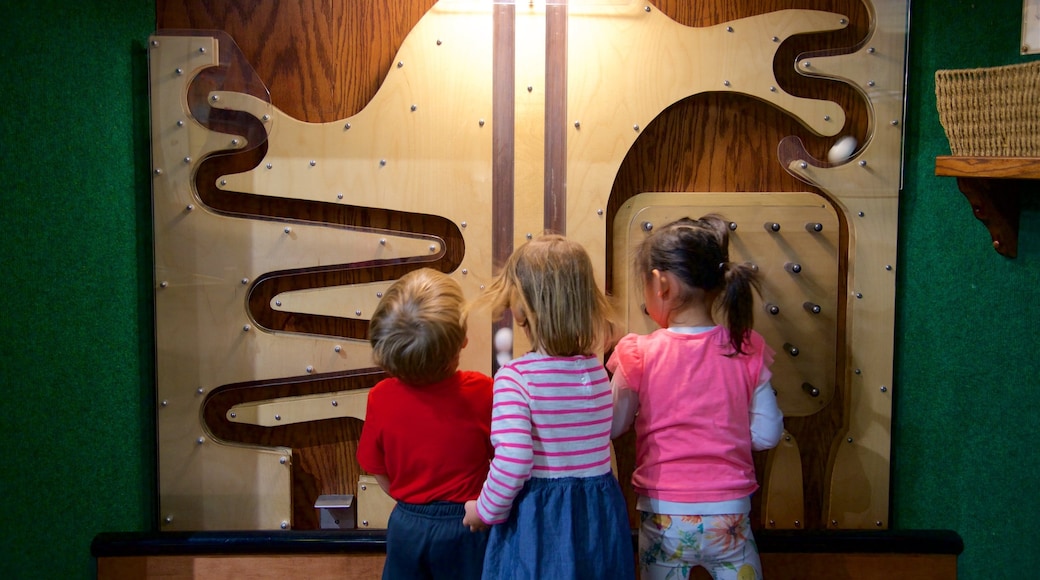 Children\'s Discovery Museum og byder på interiør såvel som børn