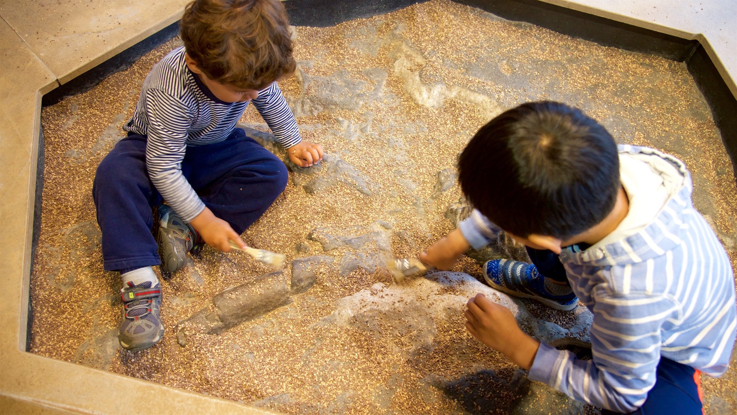 Children\'s Discovery Museum which includes interior views as well as children