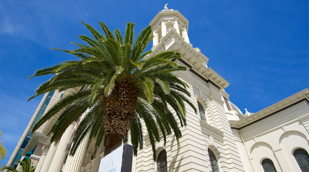 St. Joseph Cathedral Basilica ซึ่งรวมถึง โบสถ์หรือวิหาร