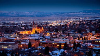 Cathedral of St. Helena showing night scenes, landscape views and a city