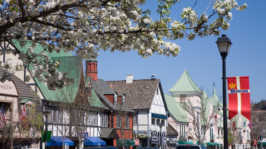 Santa Ynez Valley showing street scenes