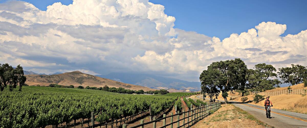 Santa Ynez Valley which includes tranquil scenes and farmland