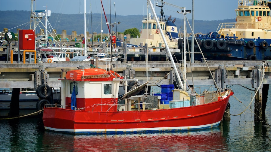 Sapphire Coast montrant navigation et marina