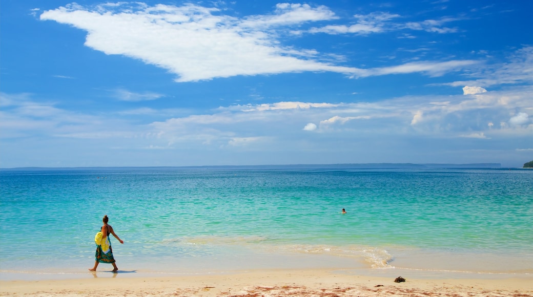 Collingwood Beach which includes a bay or harbour and a sandy beach as well as a small group of people