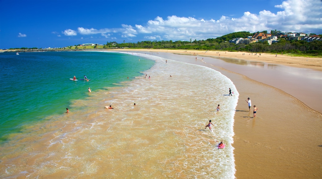 Coffs Harbour caratteristiche di nuoto, spiaggia sabbiosa e baia e porto
