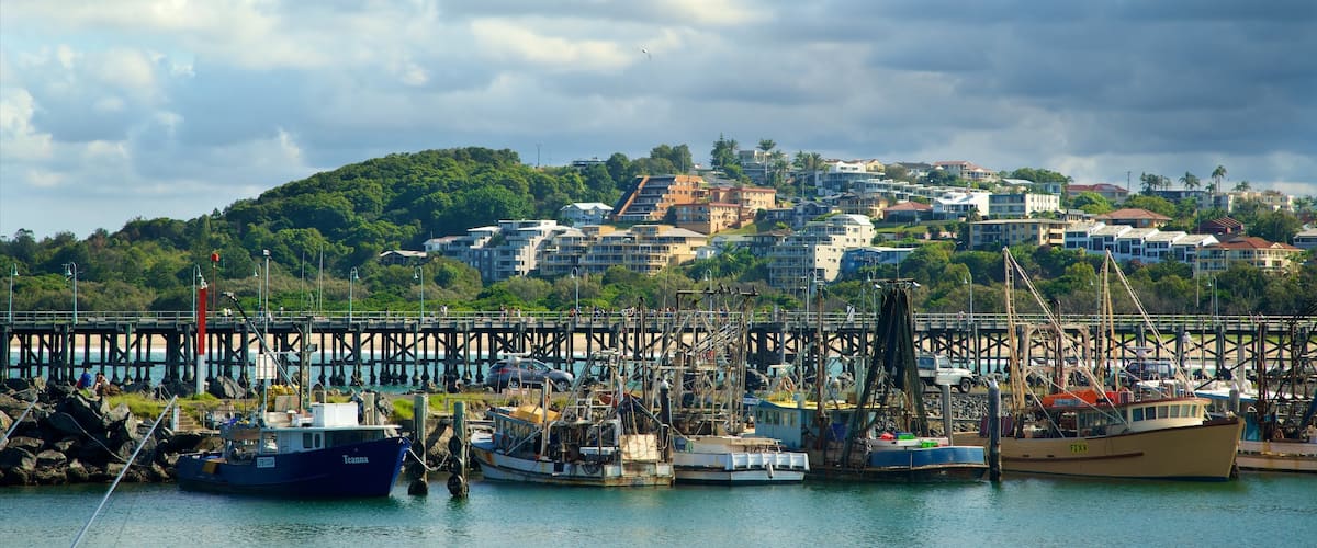 North Coast featuring a marina, a bay or harbour and a coastal town