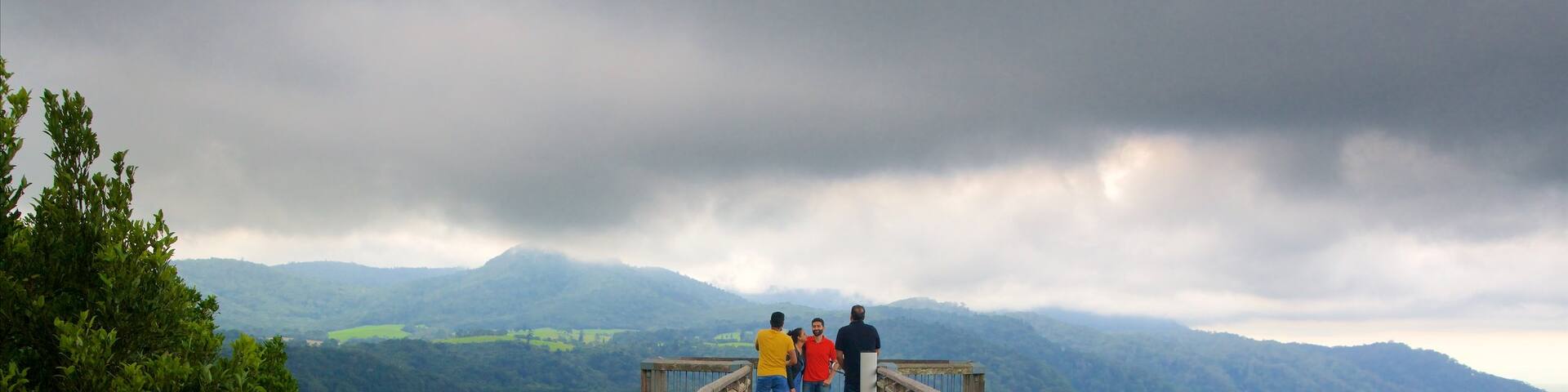 Parc national de Dorrigo mettant en vedette montagnes, forĂȘts et vues
