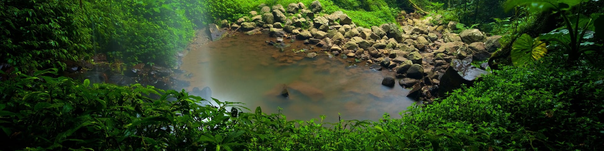 Parc national de Dorrigo mettant en vedette lac ou étang, pont et forêts