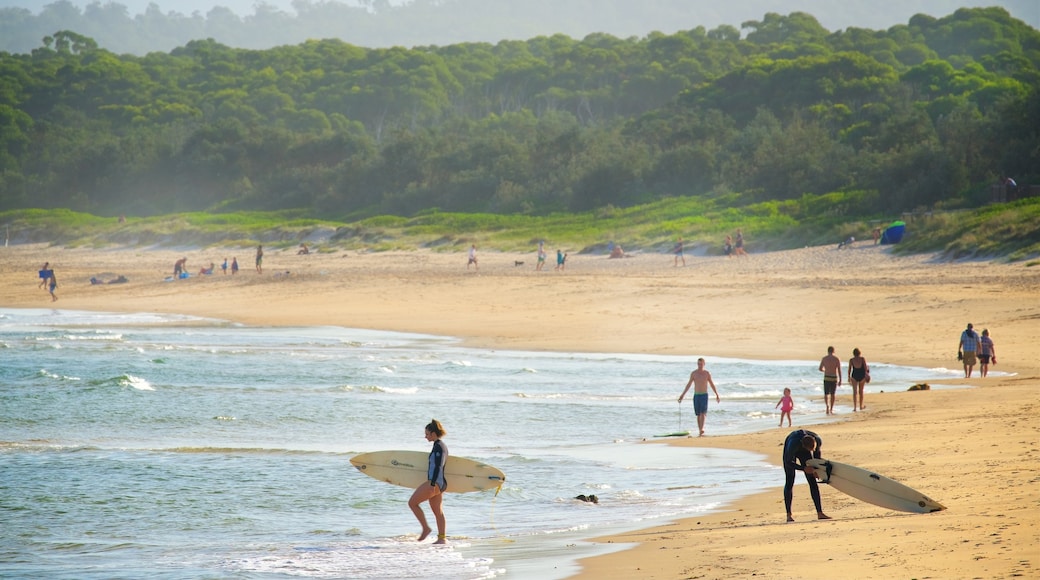 Main Beach Recreation Reserve showing a beach and surfing