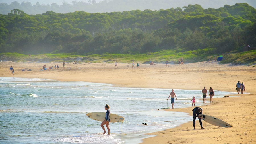Main Beach Recreation Reserve showing surfing and a beach