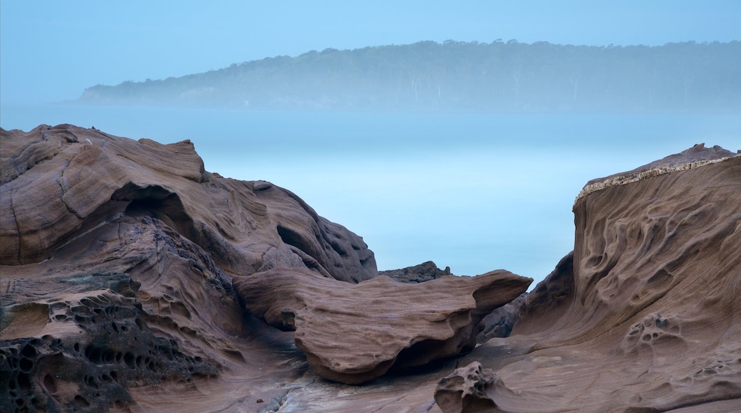 Pambula Beach featuring mist or fog and rocky coastline