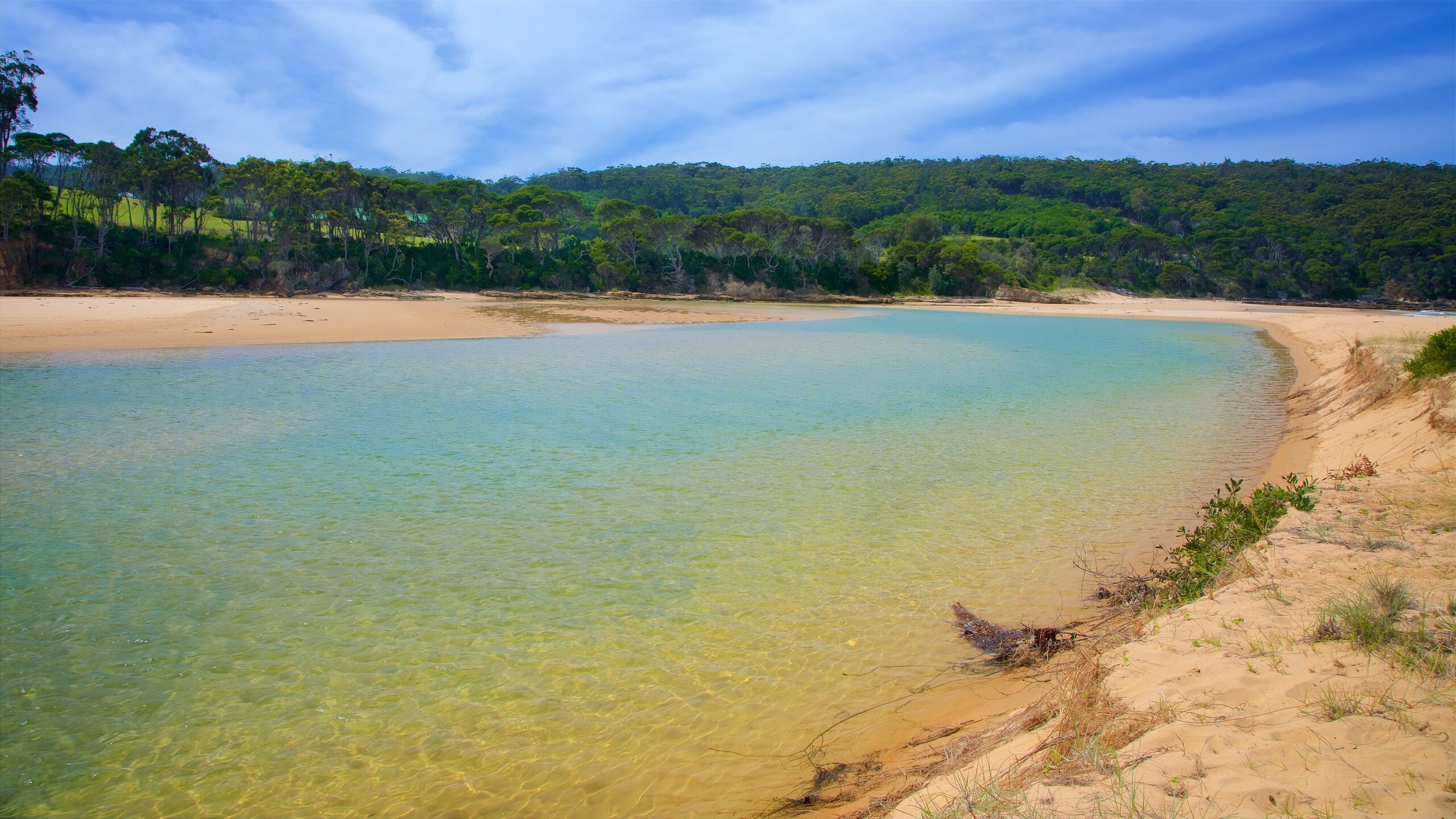 Eden NSW Holiday Accommodation From AU 119 night Stayz
