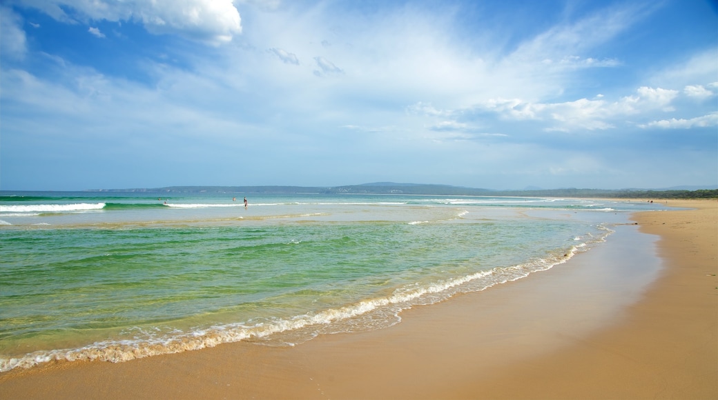 Main Beach Recreation Reserve which includes a beach and general coastal views