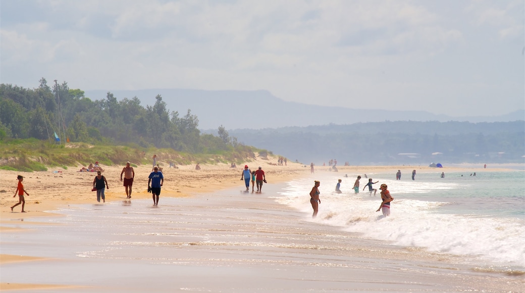 Collingwood Beach which includes a beach and general coastal views as well as a large group of people